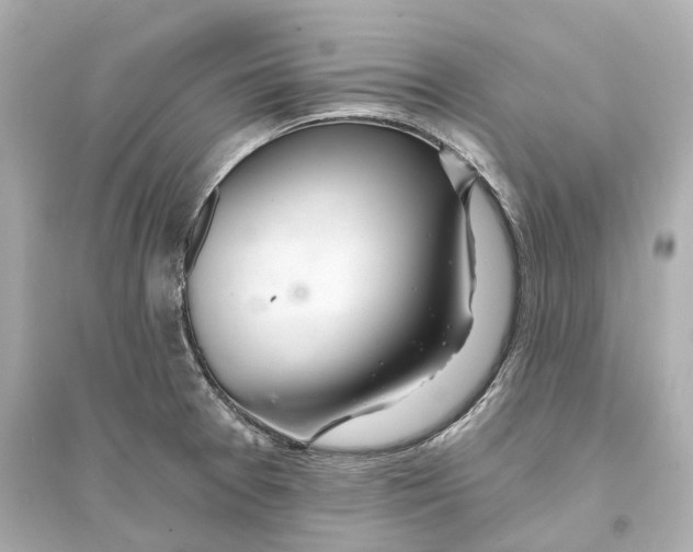 X0000093761377200711131138