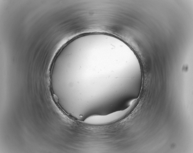 X0000093761380200711131138