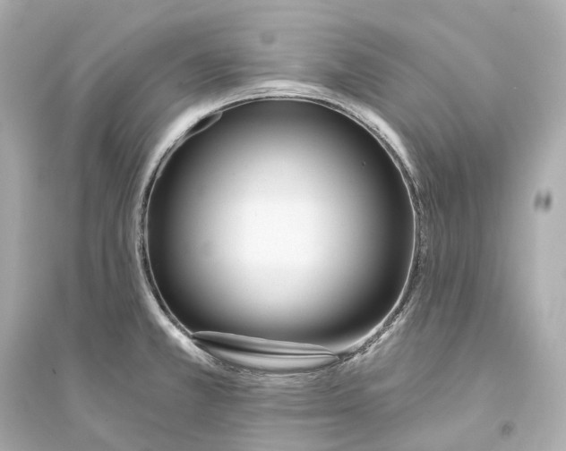 X0000093761381200711131138