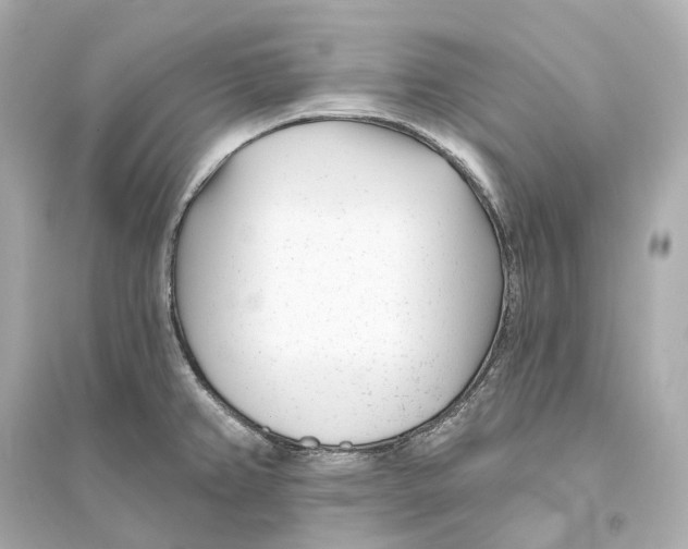 X0000093761382200711131138