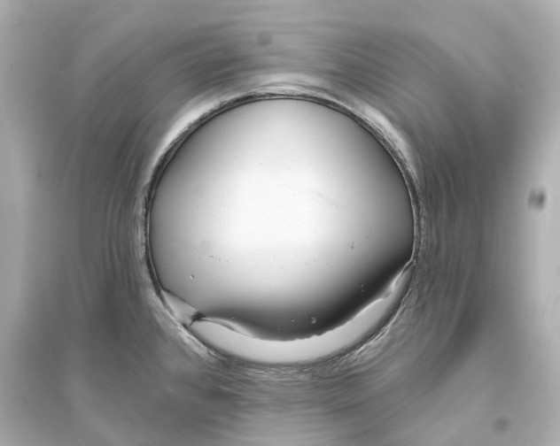 X0000093761384200711131138