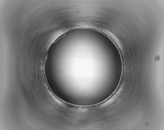 X0000093761385200711131138