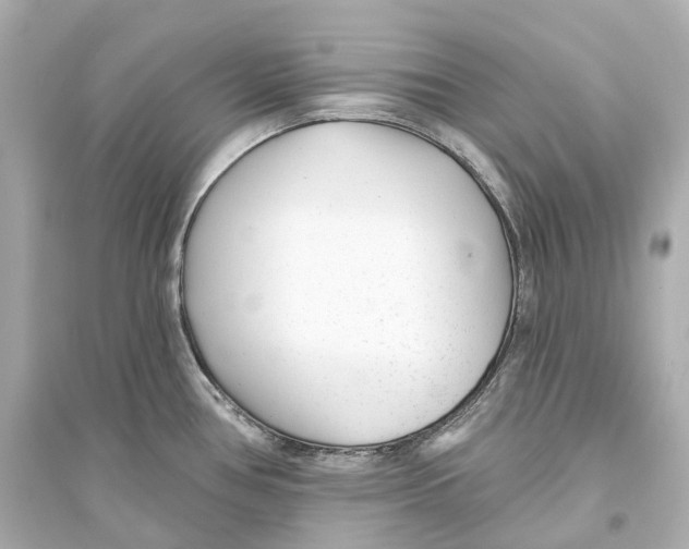 X0000093761386200711131138