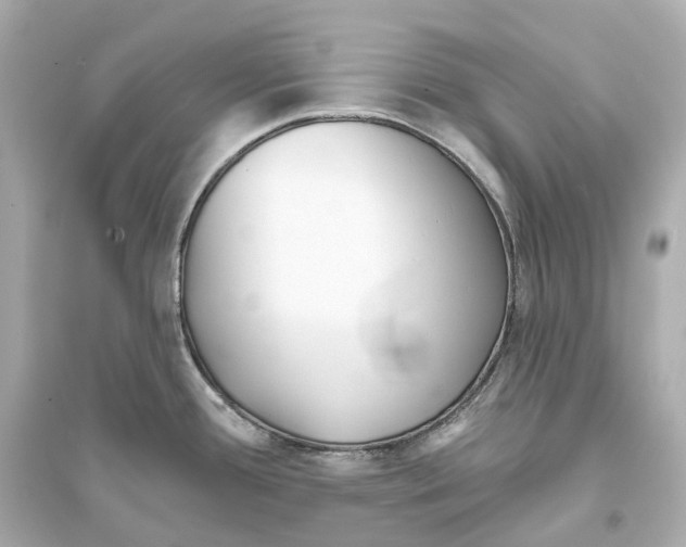 X0000093761388200711131138