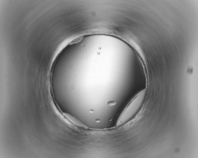 X0000093761389200711131138