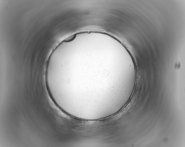 X0000093761390200711131138