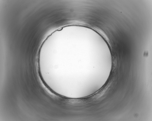 X0000093761391200711131138