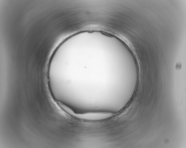 X0000093761392200711131138