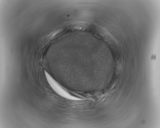 X0000093761394200711131137