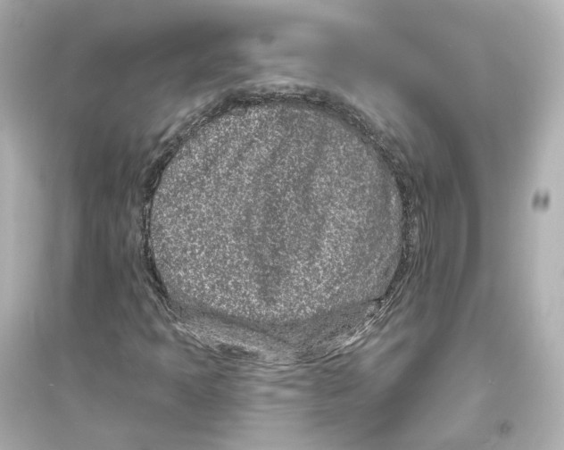 X0000093761397200711131137