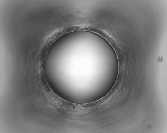 X0000093761398200711131137