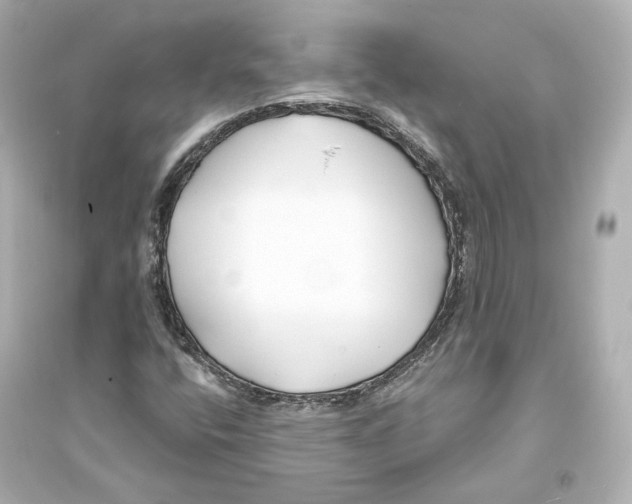 X0000093761400200711131137