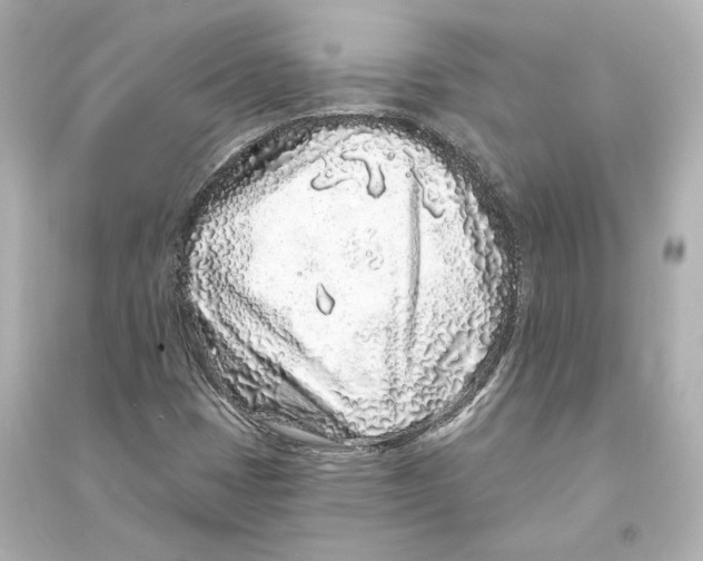 X0000093761401200711131137