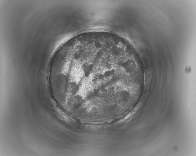 X0000093761405200711131137