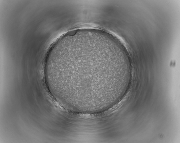 X0000093761407200711131137