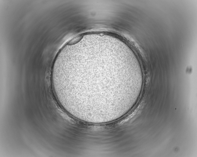 X0000093761409200711131137