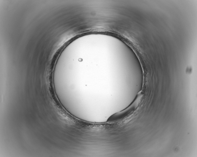 X0000093761410200711131137