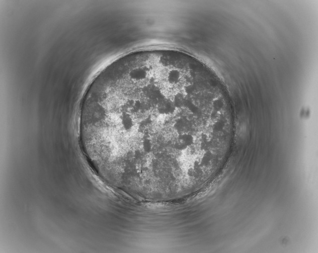 X0000093761413200711131137