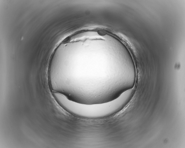 X0000093761417200711131137