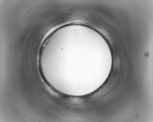 X0000093761420200711131137