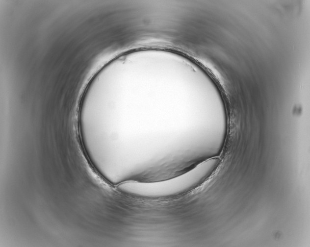 X0000093761421200711131137