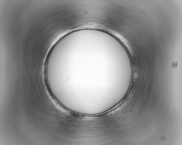 X0000093761423200711131137