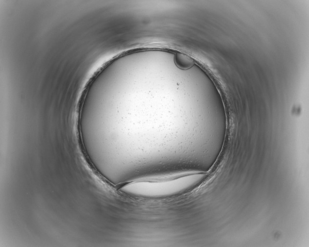 X0000093761424200711131137