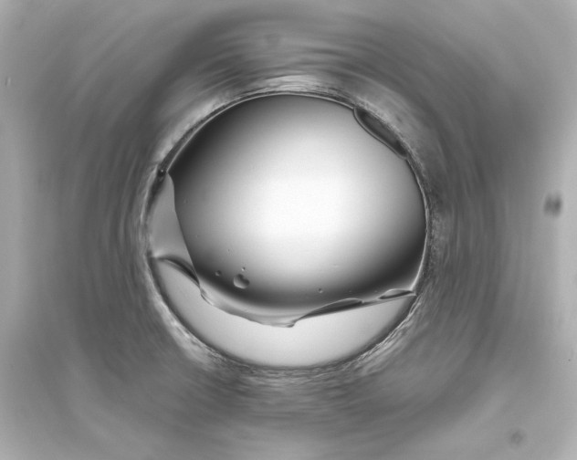 X0000093761426200711131137