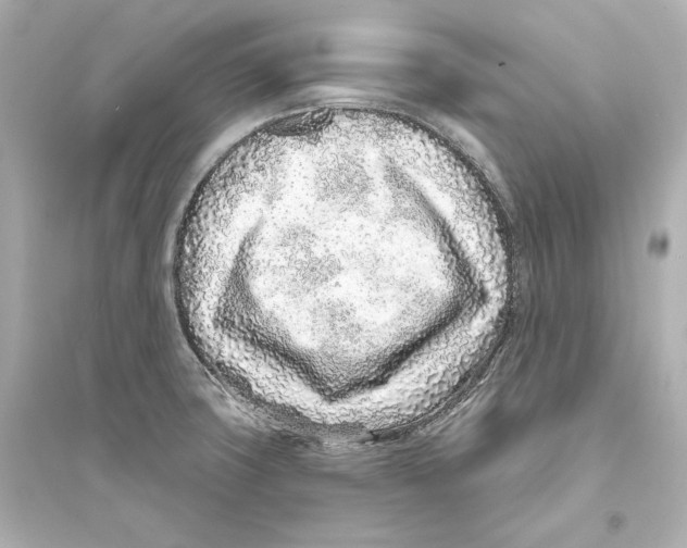 X0000093761427200711131137