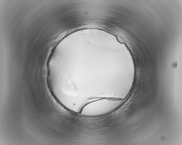 X0000093761428200711131137