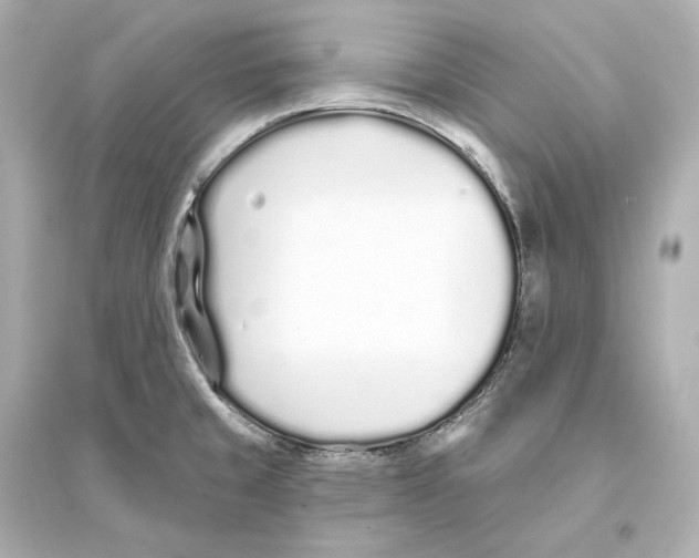 X0000093761429200711131137