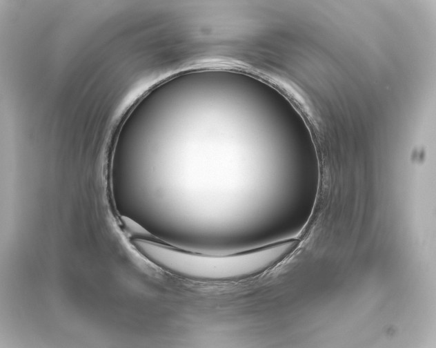 X0000093761430200711131137