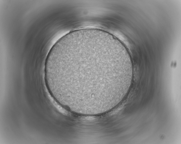 X0000093761431200711131138