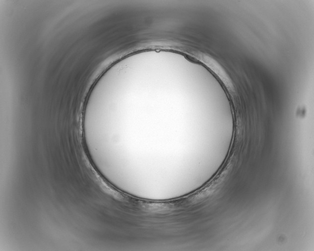 X0000093761436200711131138