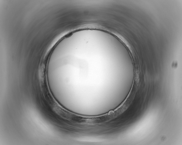 X0000093761438200711131138