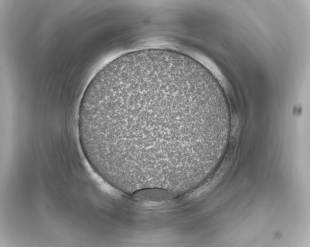 X0000093761439200711131138