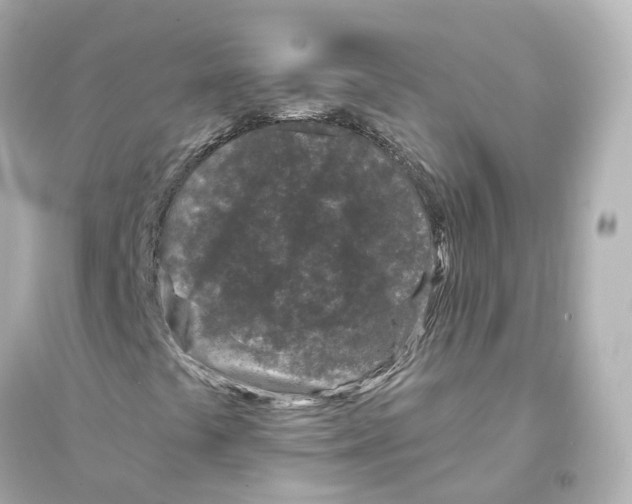 X0000093761441200711131137