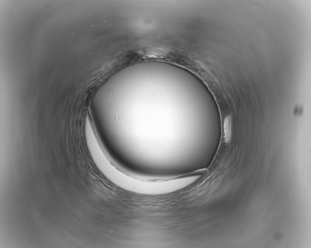 X0000093761443200711131137