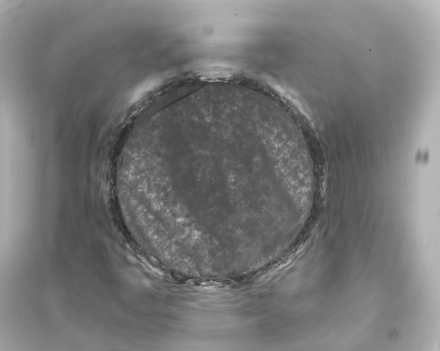 X0000093761445200711131137