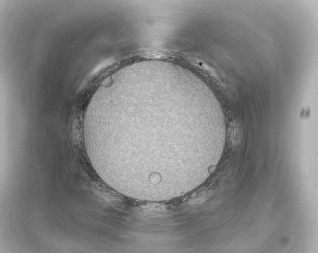 X0000093761446200711131137