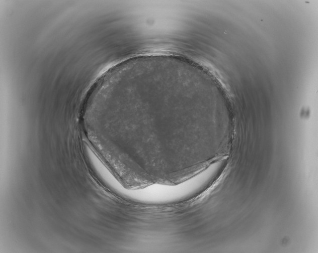 X0000093761449200711131137