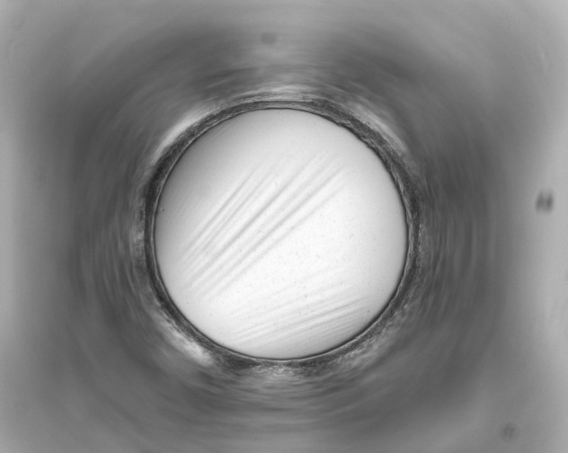 X0000093761450200711131137