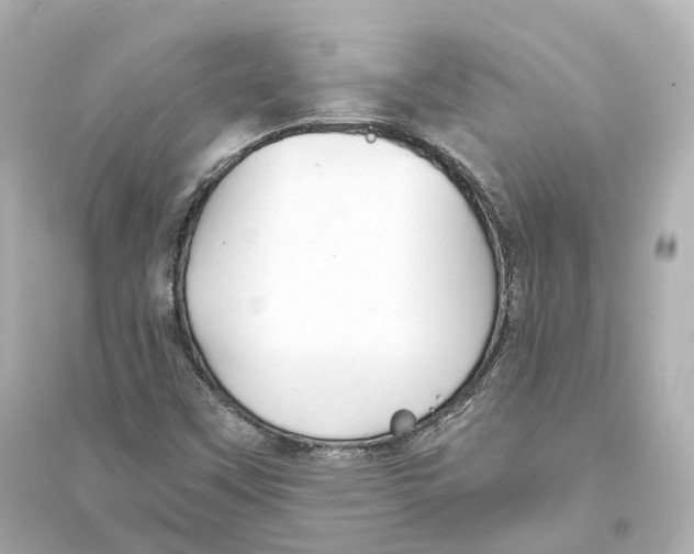 X0000093761451200711131137