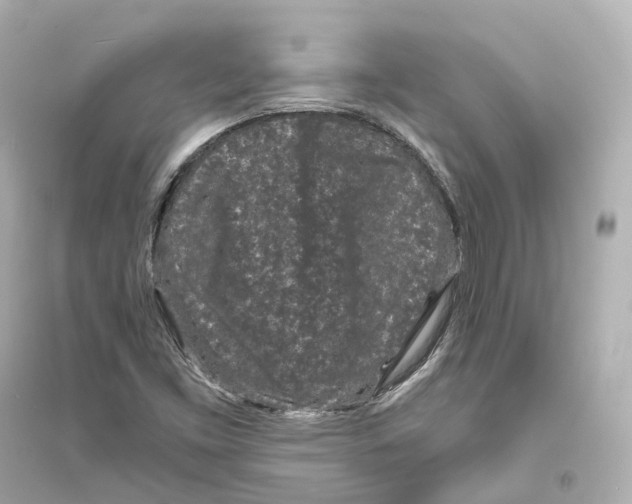 X0000093761453200711131137