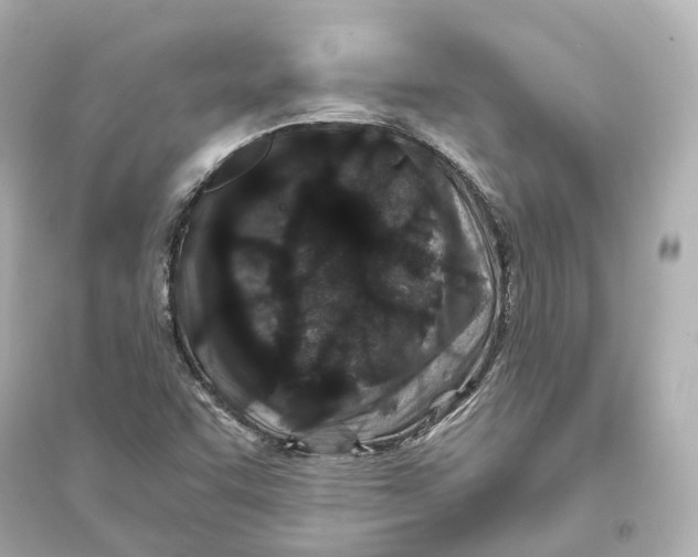 X0000093761455200711131137