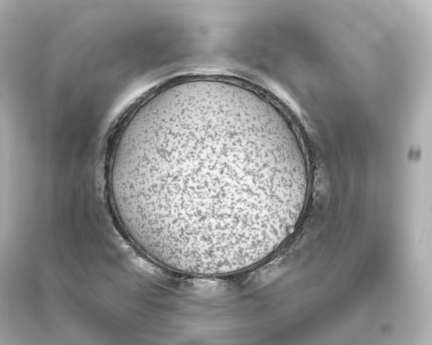 X0000093761456200711131137