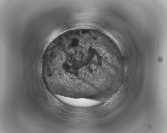 X0000093761459200711131137