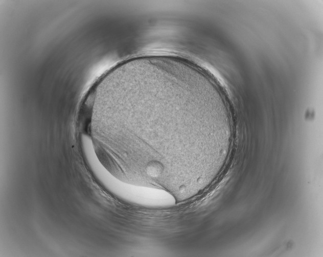 X0000093761461200711131137