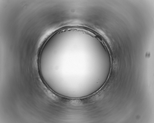 X0000093761464200711131137