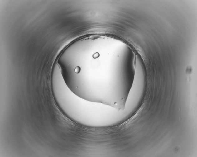 X0000093761465200711131137